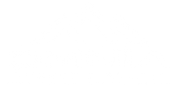 White Logo reading "Omnia Rubber and Gaskett. Industrial Solutions. Lasting Performance" with mountain icon on top.